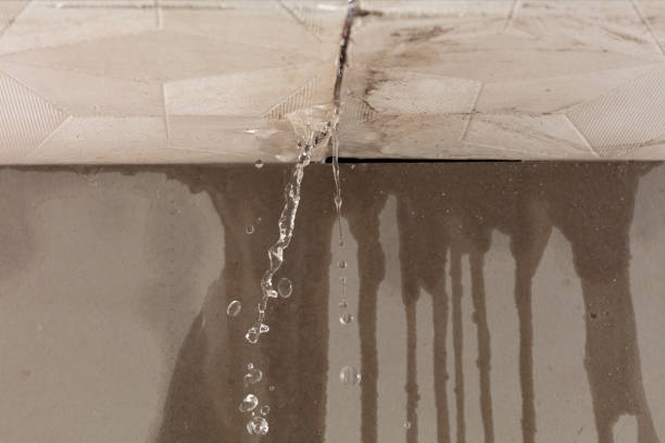 Professional Water Damage Repair technician working in Pflugerville, TX